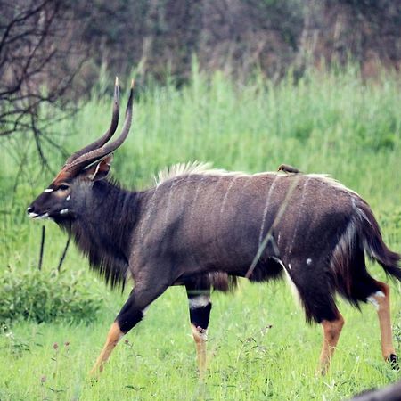 Ouklip Game Lodge Klipdrift Екстериор снимка