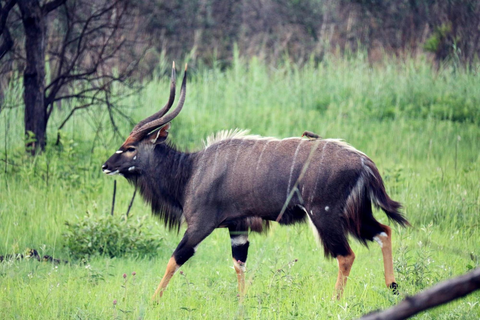 Ouklip Game Lodge Klipdrift Екстериор снимка